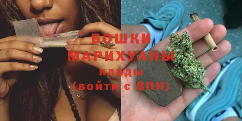 как найти наркотики  Инза  blacksprut сайт  Бошки марихуана план 